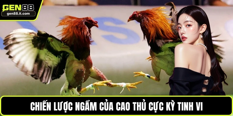 Chiến lược ngầm của cao thủ cực kỳ tinh vi