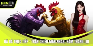 Đá gà trực tiếp