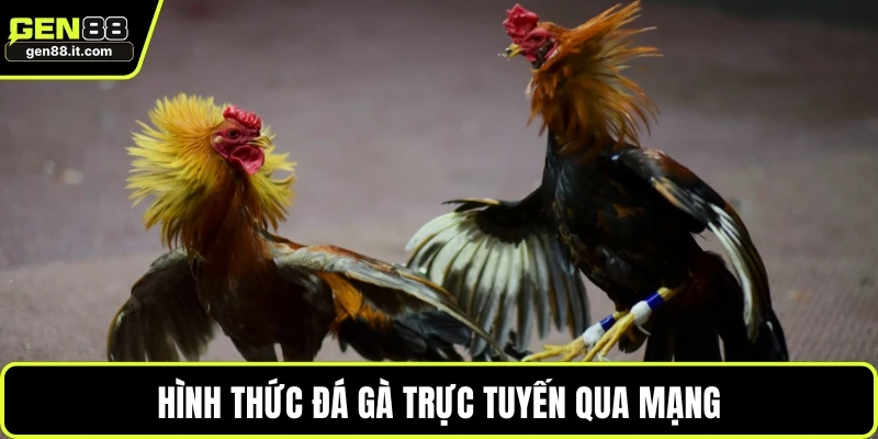 Hình thức đá gà trực tuyến qua mạng