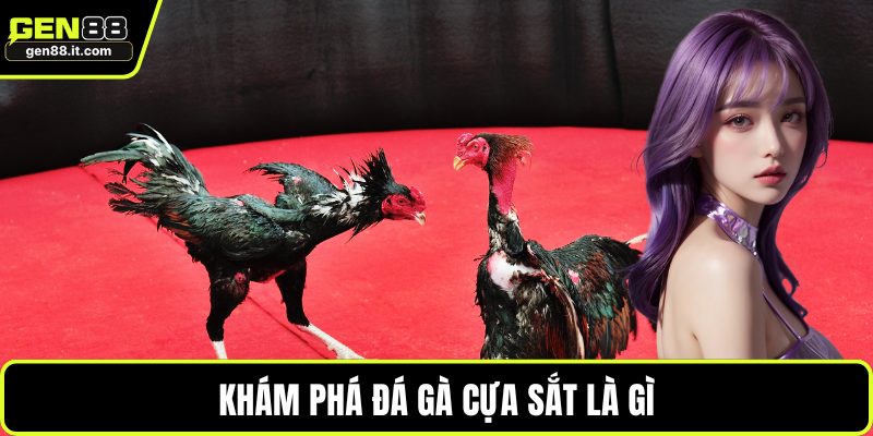 Khám phá đá gà cựa sắt là gì