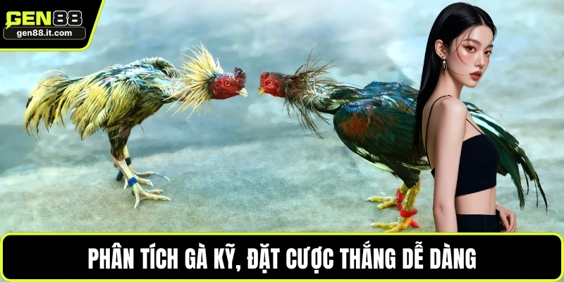 Phân tích gà kỹ, đặt cược thắng dễ dàng