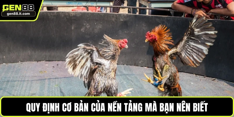 Quy định cơ bản của nền tảng mà bạn nên biết