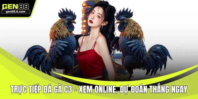 Trực tiếp đá gà C3